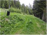 Koprivna (Kumer) - Velika glava (Peca)